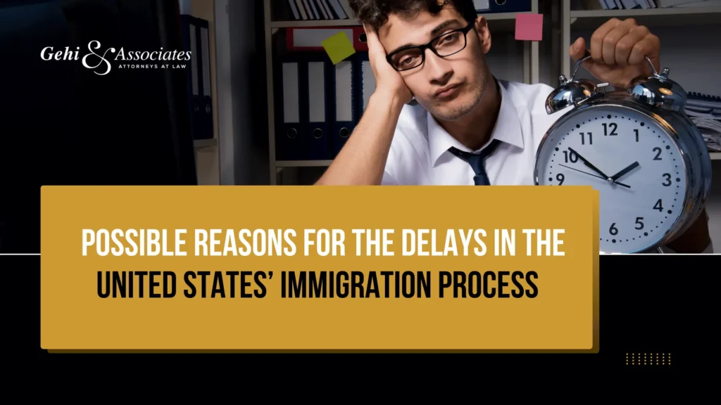 POSSIBLE REASONS FOR THE DELAYS IN THE UNITED STATES’ IMMIGRATION PROCESS